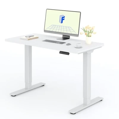 Afbeelding van FLEXISPOT bureau, zittend, staand, 120 x 60 cm, één stuk, 2 krachtige motoren, in hoogte verstelbaar elektrisch zittend bureau met geheugenfunctie, wit blad + frame