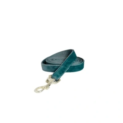 Image de Kentucky Laisse pour Chien velours Émeraude 1,2m S