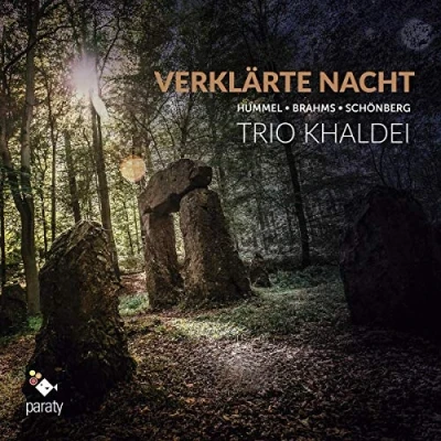Afbeelding van Trio Khaldei Verklarte Nacht (CD)