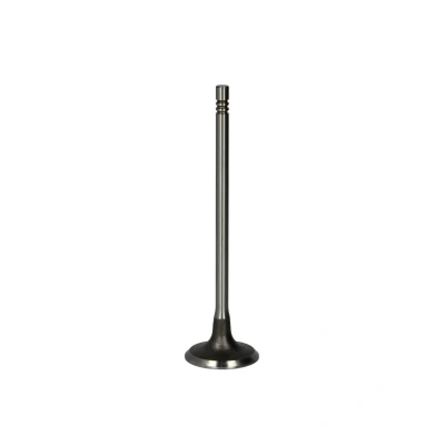 Afbeelding van Inlaatklep FRECCIA R6663/S