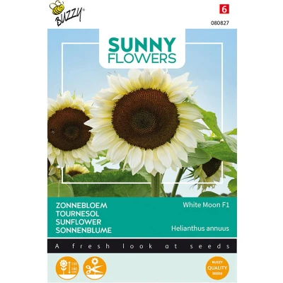 Afbeelding van Sunny Flowers, Zonnebloem White Moon of Night Buzzy