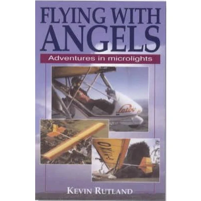 Afbeelding van Flying with Angels