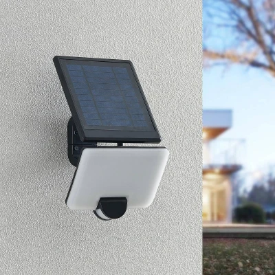 Afbeelding van Prios Yahir LED wandspot op zonne energie sensor