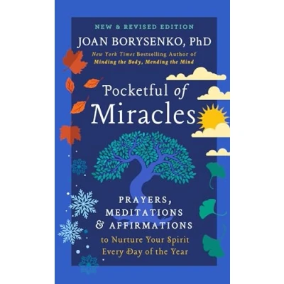 Afbeelding van Pocketful of Miracles (Revised and Updated)