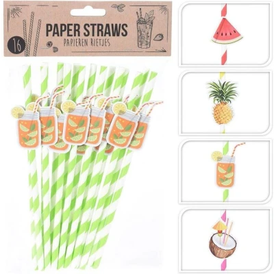 Afbeelding van Rietjes Papier Vruchten Set 16 stuks 4 varianten