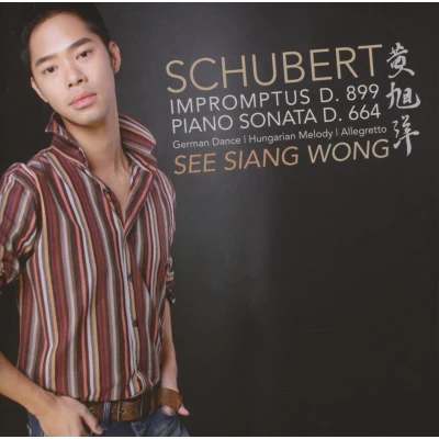 Afbeelding van Schubert: Impromptus; Piano Sonata