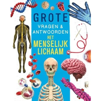 Afbeelding van Het menselijk lichaam Grote vragen &amp; antwoorden