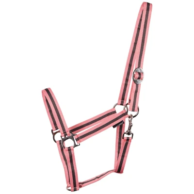 Image de Harry&#039;s Horse Halter Economy