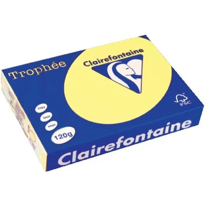 Afbeelding van Clairefontaine Trophée Pastel, gekleurd papier, A4, 120 g, 250 vel, citroengeel papier