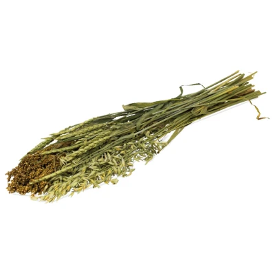 Afbeelding van Jr Farm Zomer Oogst Ruwvoer 16x3x60 cm 80 g