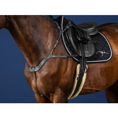 Image de Dyon Anatomical Breastplate US Jumping Collection