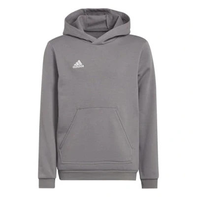 Afbeelding van adidas Entrada 22 Hoodie voor kinderen, sweatshirt, uniseks