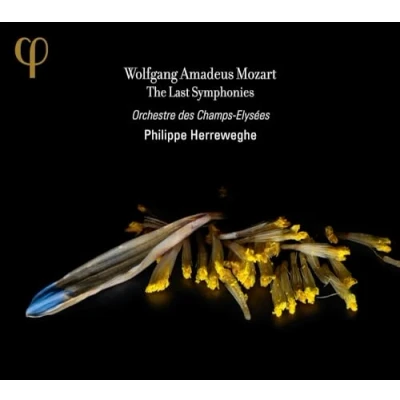 Afbeelding van Orchestra Des Champs Elysées, Philippe Herreweghe Mozart: The Last Symphonies (2 CD)