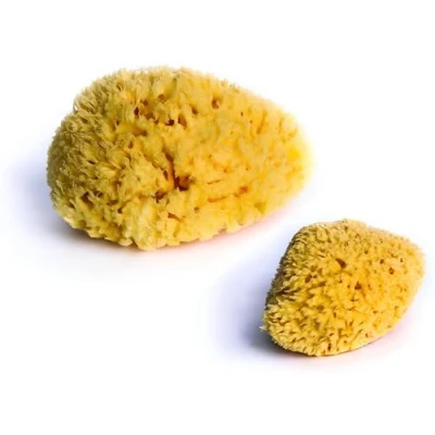 Afbeelding van dBb Remond 2 Natuursponzen