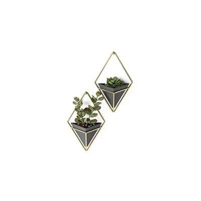 Afbeelding van Umbra Trigg muurdisplay (set van 2)