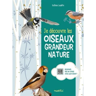 Image de Je découvre les oiseaux grandeur nature