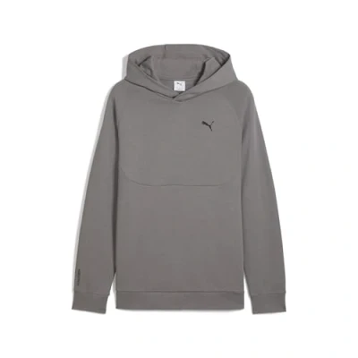 Afbeelding van Puma Hoodie, Heren, Maat: Small, Cast iron