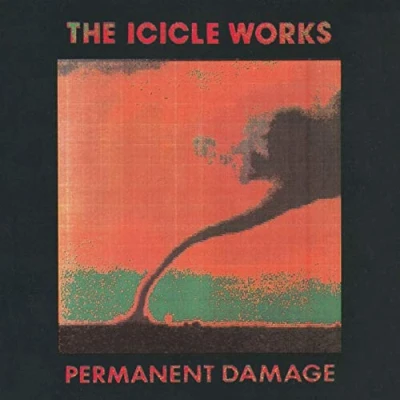 Afbeelding van Permanent Damage