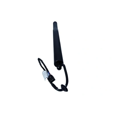 Afbeelding van Gasveer, legbodem (Koffer /Laadruimte) MAXGEAR 12 2549