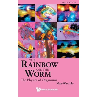 Afbeelding van the Rainbow and Worm