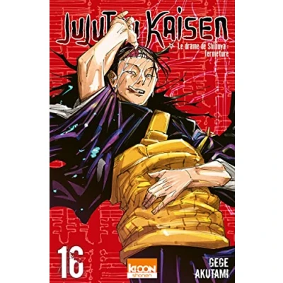Afbeelding van JUJUTSU KAISEN,16