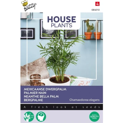 Afbeelding van House plants chamaedorea minipalm Buzzy