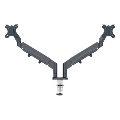Image de Leitz Ergo Double Monitor Grey