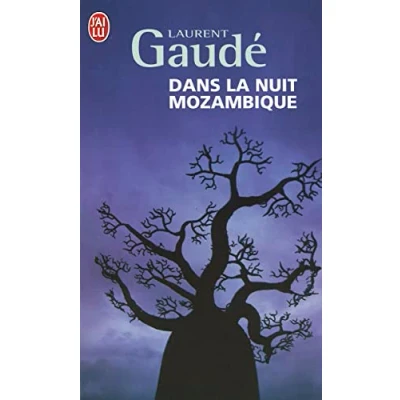 Afbeelding van Dans la nuit Mozambique