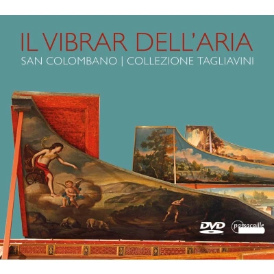 Afbeelding van Luigi Ferdinando Tagliavini Il Vibrar Dell&#039;aria (DVD)