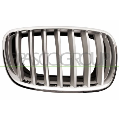 Afbeelding van PRASCO BM8222013 Grille Auto rechts Titanium, Chroom BMW: X5