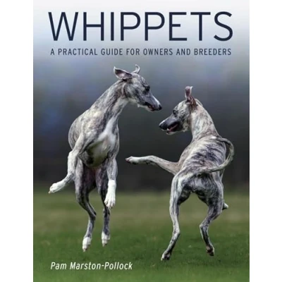 Afbeelding van Whippets