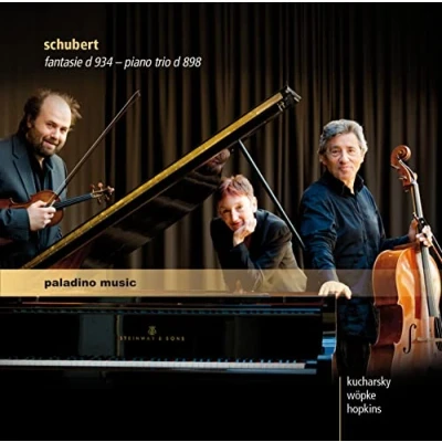 Afbeelding van Elizabeth &amp; Boris Kucharsky Peter Wopke Hopkins Schubert: Fantasie D 934 Piano Trio 898 Impr (CD)