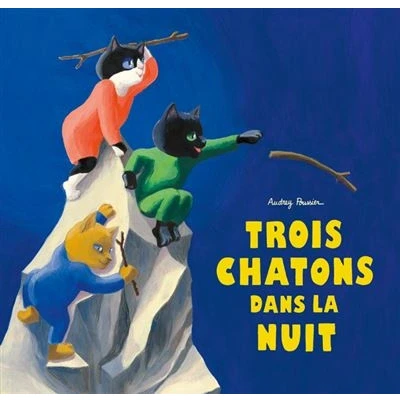 Image de Trois chatons dans la nuit