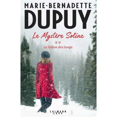 Image de Le Mystère Soline, T2 vallon des loups