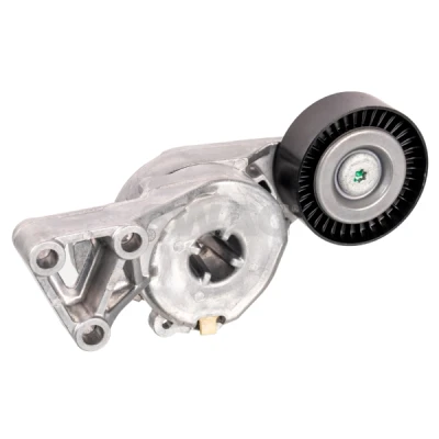 Afbeelding van Swag Spanner poly V riem 30 03 0088