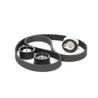 Afbeelding van Ina Distributieriem kit 530 0049 10