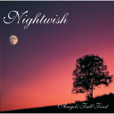 Afbeelding van Nightwish Angels Fall First (CD)