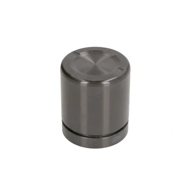 Afbeelding van AUTOFREN SEINSA D025553 Zuiger, remklauw 44 Achteras ATE