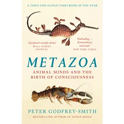 Afbeelding van Metazoa