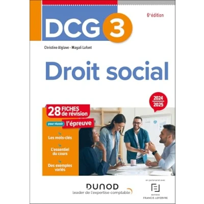 Afbeelding van DCG 3 DROIT SOCIAL FICHES DE REVISION 2024 2025
