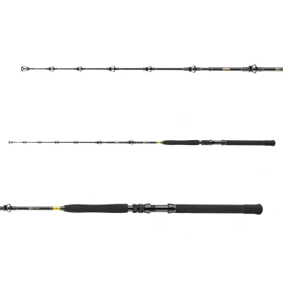Afbeelding van Daiwa BG Big Game Zeevis Boothengel 1.68m 20 30lb (3 Delig)