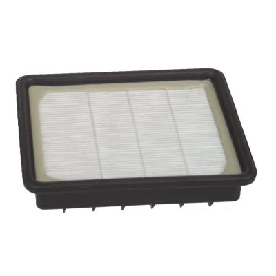 Image de Hoover Filtre hepa moteur s89 35600772