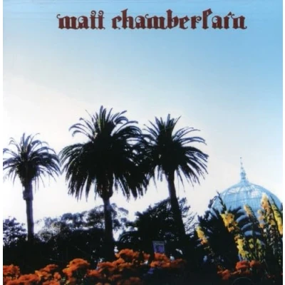 Afbeelding van Matt Chamberlain (CD)
