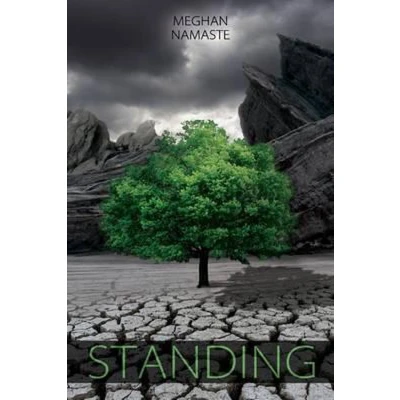 Afbeelding van Standing