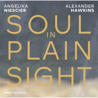 Afbeelding van Angelika Niesicer &amp; Alexander Hawkins Soul In Plainsight (CD)