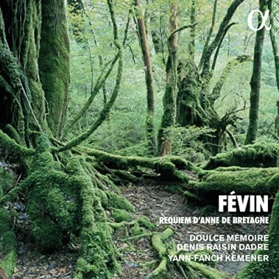 Afbeelding van Doulce Memoire Denis Raisin Dadre Yann Fanch K Requiem Danne De Bretagne (CD)
