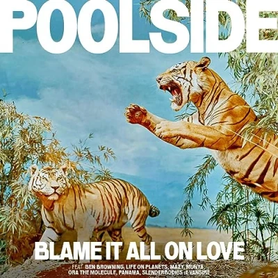 Afbeelding van Poolside Blame It All On Love (LP)