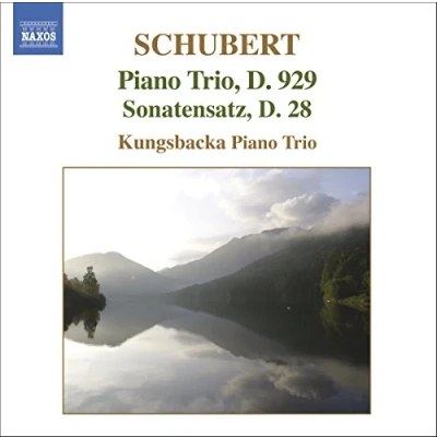 Afbeelding van Kungsbacka Trio Piano Trios (CD)