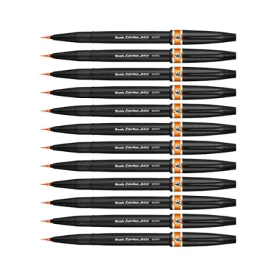 Afbeelding van Pentel SESF30C FX penseelset, extra fijn, oranje, 12 stuks