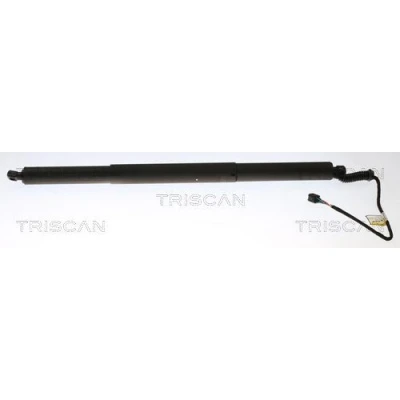 Afbeelding van Gasveer, kofferruimte TRISCAN 8710 29306